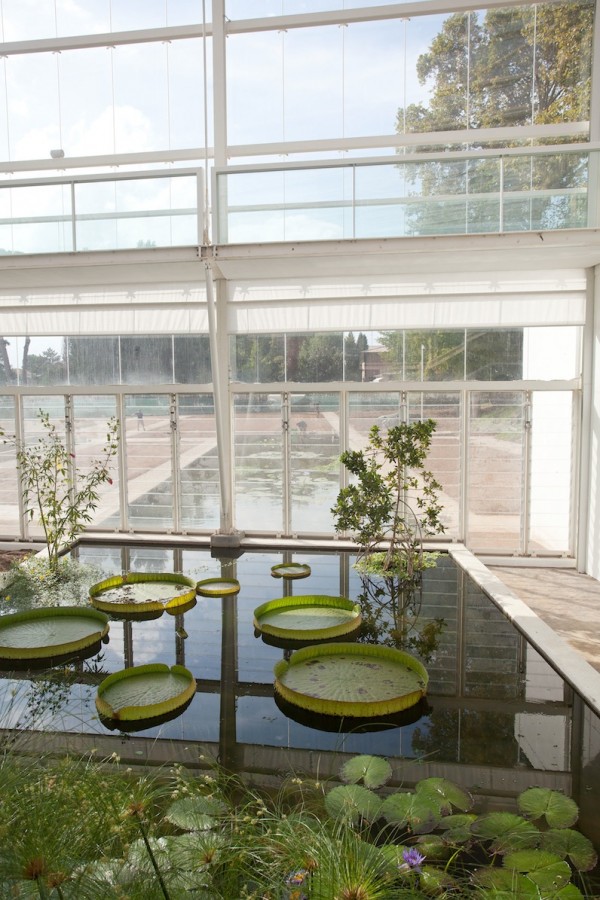 Padova Botanical Gardens by Stanton Williams at IDEASGN 2