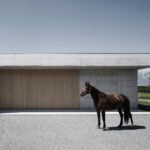 Veterinary Practice & Residence / Marte.Marte Architects